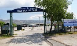 Eskişehir’de kurban pazarı için hazırlıklar başladı