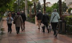 Eskişehir’de palmiyeler yeniden Köprübaşı’ndaki yerini aldı