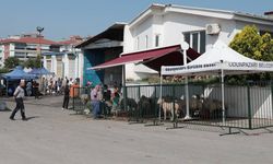 Odunpazarı’nda kurban kesimleri ücretsiz yapılacak