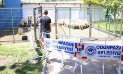 Odunpazarı’nın ücretsiz kurban kesim alanı yoğun ilgi gördü