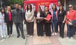 Bilge Gündüz Doğan: "Elleri öpülesi analara söz veriyoruz, hep beraber hesap soracağız"
