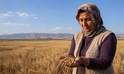 Çiftçilerin beklediği haber geldi; 2026 yılı buğday ve arpa alım fiyatları açıklandı