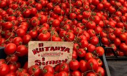 Eskişehir'de domates fiyatları can sıkıyor