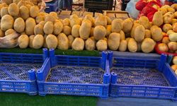Eskişehir'de patates fiyatları şaşkınlığa neden oluyor