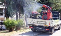 Eskişehir'de sinek ve haşerelerle mücadeleye hız verildi