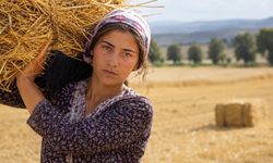 Eskişehir Büyükşehir Belediyesi üreticilere balya desteği verecek