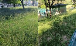 Servet Kahramaner Aydın Arat Parkı’ndaki duruma tepki gösterdi
