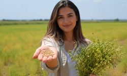 15 gün önce devreye girdi; Eskişehirli çiftçiler alışmaya çalışıyor