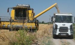 Eskişehir'de arpa üreticilere çok önemli bir destek veriliyor