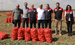 Eskişehir'de beklenen hasat başladı; Yakında fiyatlar düşecek
