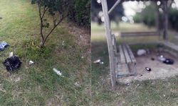 Eskişehir'de çevreye bırakılan çöplerle ilgili önemli açıklama