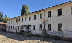 Eskişehir'de ve sessizce ölüme terk edilmekte; Anlamlı bir çağrı geldi
