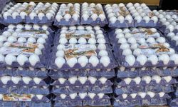 Eskişehir'de yumurta fiyatları düşmeye devam ediyor