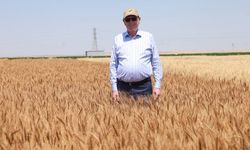 Kazım Kurt: "Türk köylüsüne verilmesi gereken destekler Ukrayna'daki üreticilere veriliyor"