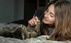 Eskişehir'de kedi ve köpek sahiplenmek isteyenler dikkat; Yeni bir uygulama başlatıldı