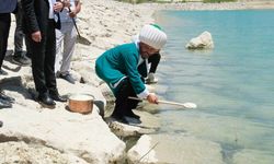 Uluslararası Nasreddin Hoca Kültür ve Sanat Festivali başladı