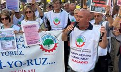 Ali Paşa Şanlı sandığı hatırlatarak emeklilere çağrı yaptı