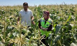 Eskişehir Büyükşehir Belediyesi'nden çiftçilerin yüzünü güldürecek hamle