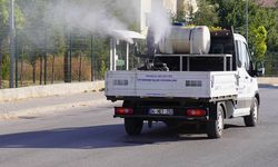 Eskişehir'de ilaçlama çalışmaları hız kazandı
