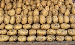 Eskişehir'de patates fiyatları cep yakıyor; Emekli ve asgari ücretliler alamaz oldu