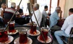 Eskişehir'e gelen gurbetçiler sadece o meslek grubunu ihmal etmedi