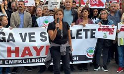 Aslı Demir emeklilerin yaşadığı sorunlara dikkat çekti