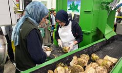 Eskişehir Şeker Fabrikası’nda pancar alım sezonu başladı; Şeker-İş Sendikası'ndan açıklama geldi