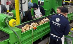 Eskişehir'de işlenmesi hedeflenen pancar miktarı açıklandı