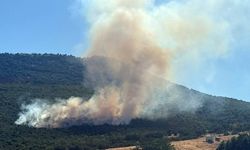 Eskişehir’de meşe ve ardıç ağaçlarının bulunduğu ormanlık alanda yangın