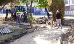 Eskişehir'de parklar yeniliyor: Ahmet Ataç çalışmaları açıkladı