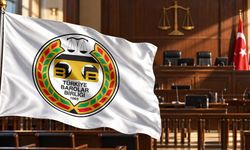 Türkiye Barolar Birliği açıkladı: 168 suç duyurusu yapıldı