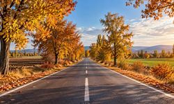 Belediye başkanı açıkladı; Eskişehir'de o yol 20 gün boyunca trafiğe kapatılacak