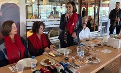 CHP'li Jale Nur Süllü'den emeklilerin geçim sıkıntısına tepki