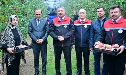 Eskişehir'de 570 dekarlık arazide üretim: Bu yıl 5 bin ton hasat bekleniyor