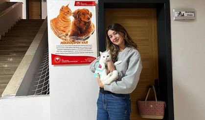 Evcil hayvan sahipleri bu habere dikkat; Ceza ödememek için bunu mutlaka yapmalısınız