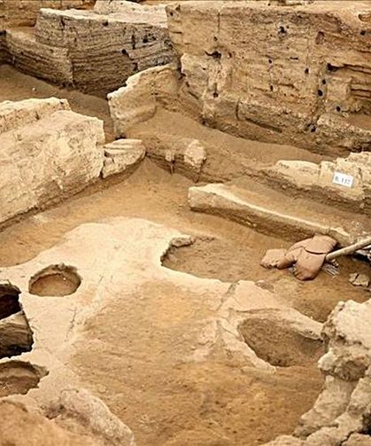 Binlerce yıllık nohut ve ekmek kalıntıları tespit edildi