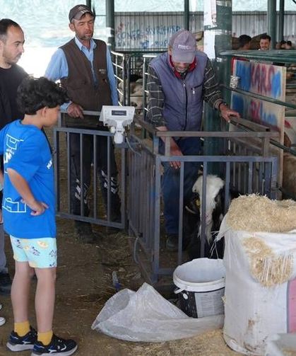 Eskişehir Büyükşehir Belediyesi'nden kurban pazarı ile ilgili açıklama