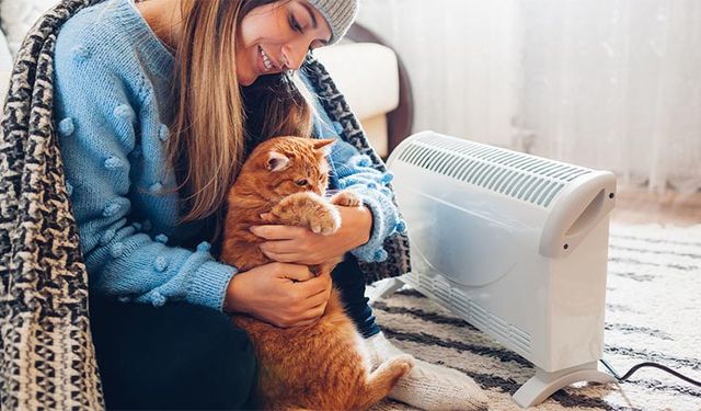 Evinde evcil hayvan besleyenler dikkat; Para cezası ile karşı karşıya kalabilirsiniz