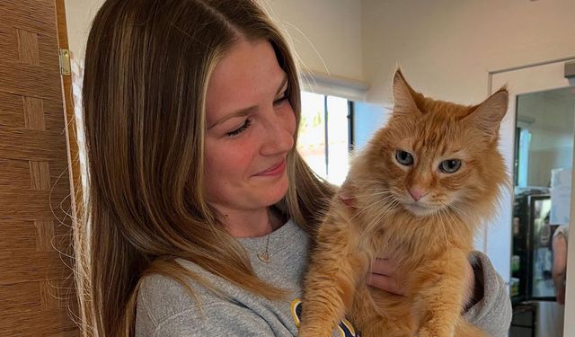 Dünya üzerinde yaşayan güncel kedi sayısı merak konusu olmuştu; Araştırma sonucu açıklandı