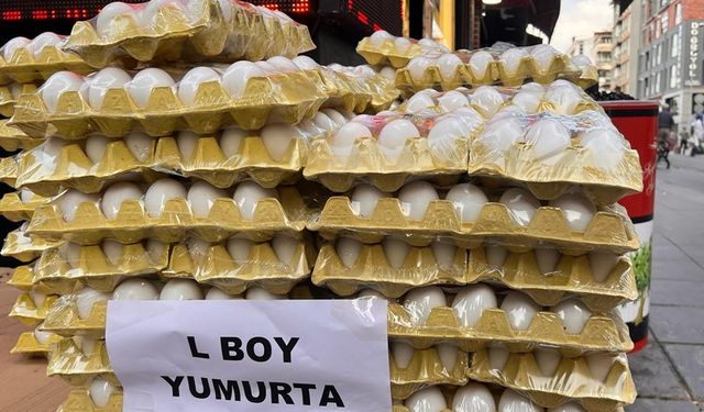 Eskişehir’de yumurta fiyatları ciddi oranda ucuzladı; İşte güncel fiyat