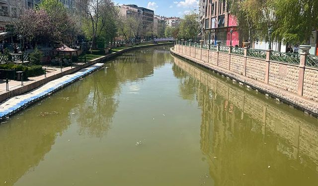 Eskişehir'de özlenen tablo geri döndü; 2 haftalık süreç sona erdi