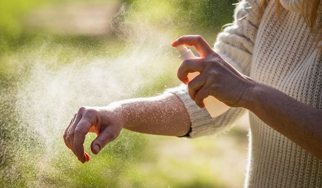 Kenelere karşı savaş başlatıldı; Çok ciddi bir çalışma