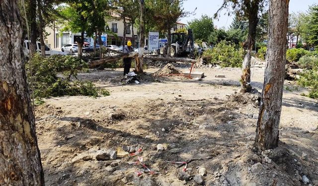 Eskişehir Büyükşehir Belediyesi'nden kesilen ağaçlarla ilgili açıklama