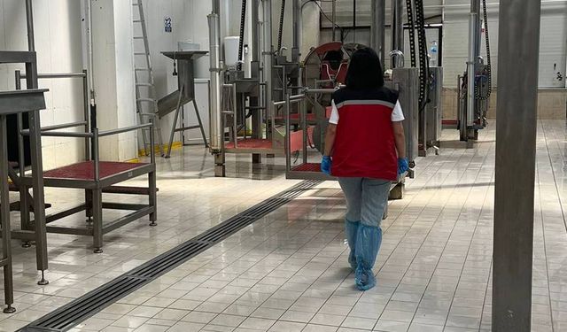 Eskişehir'de 6 ürün için imha kararı verilirken, 1 ürün toplatıldı