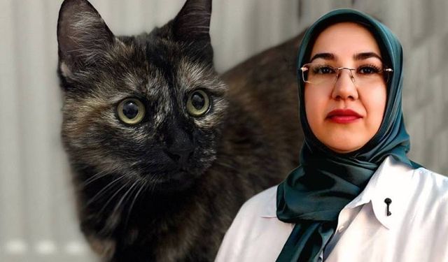 Meral Öztürk: "El kadar hayvana bu kadar nefretle nasıl yaklaşır"