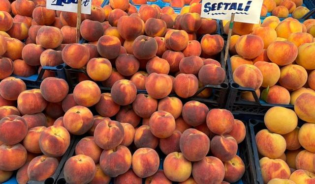Eskişehir’de şeftali fiyatları bir türlü ucuzlamıyor