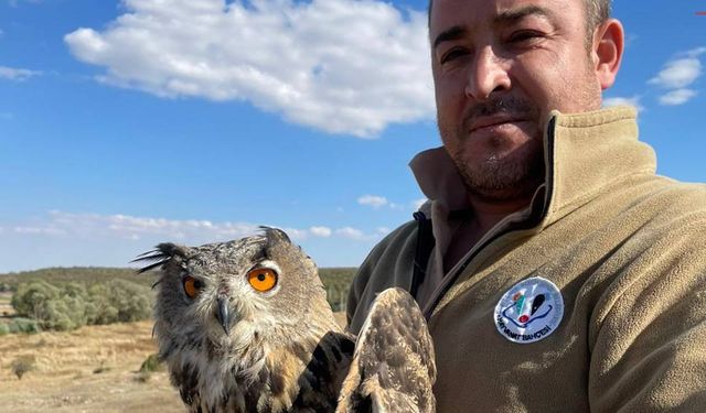 Yaralı Puhu Kuşu Eskişehir’de yeniden gökyüzüyle buluştu