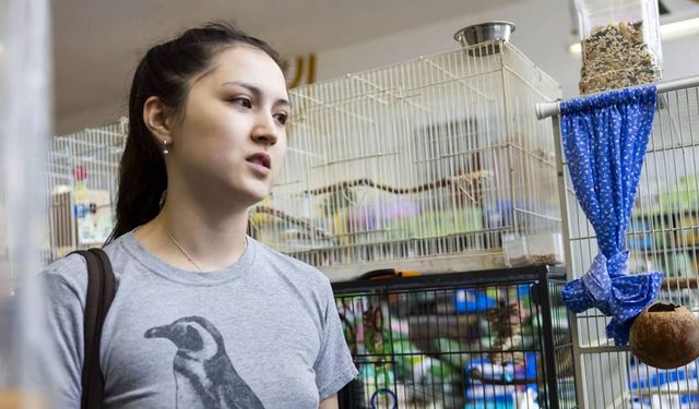 Petshoplarda yaban hayvanı satışı konusunda önemli uyarı