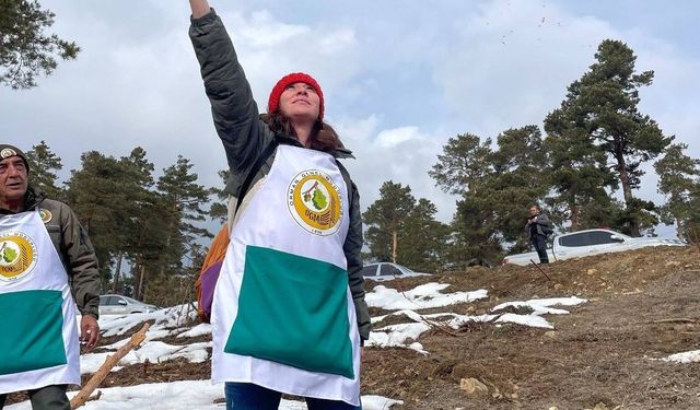 Tarım ve Orman Bakanlığı Orman Genel Müdürlüğü personel alımı yapacak