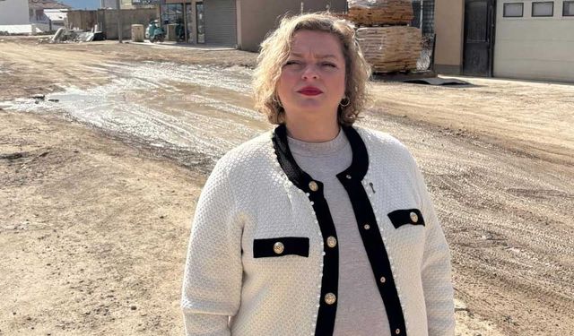 Banu Şahin'den Baksan’da kronik problemler için kalıcı çözüm çağrısı